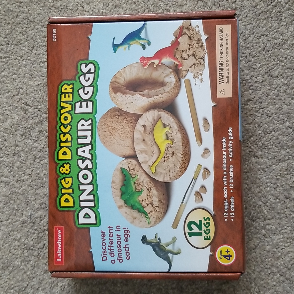 Lakeshore dig and discover